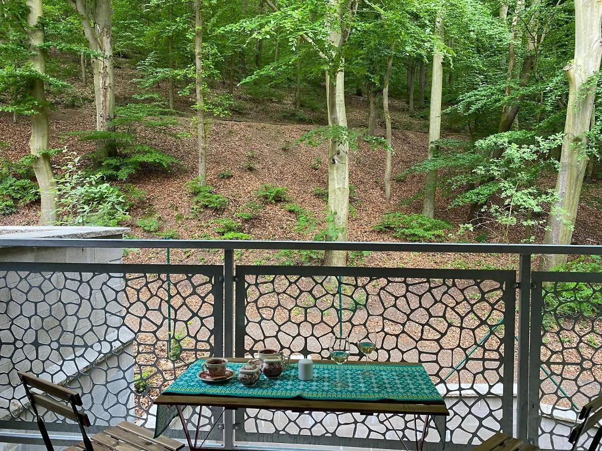 Sumavska Forest View Apartment Karlovy Vary 0*,  Czech Republic