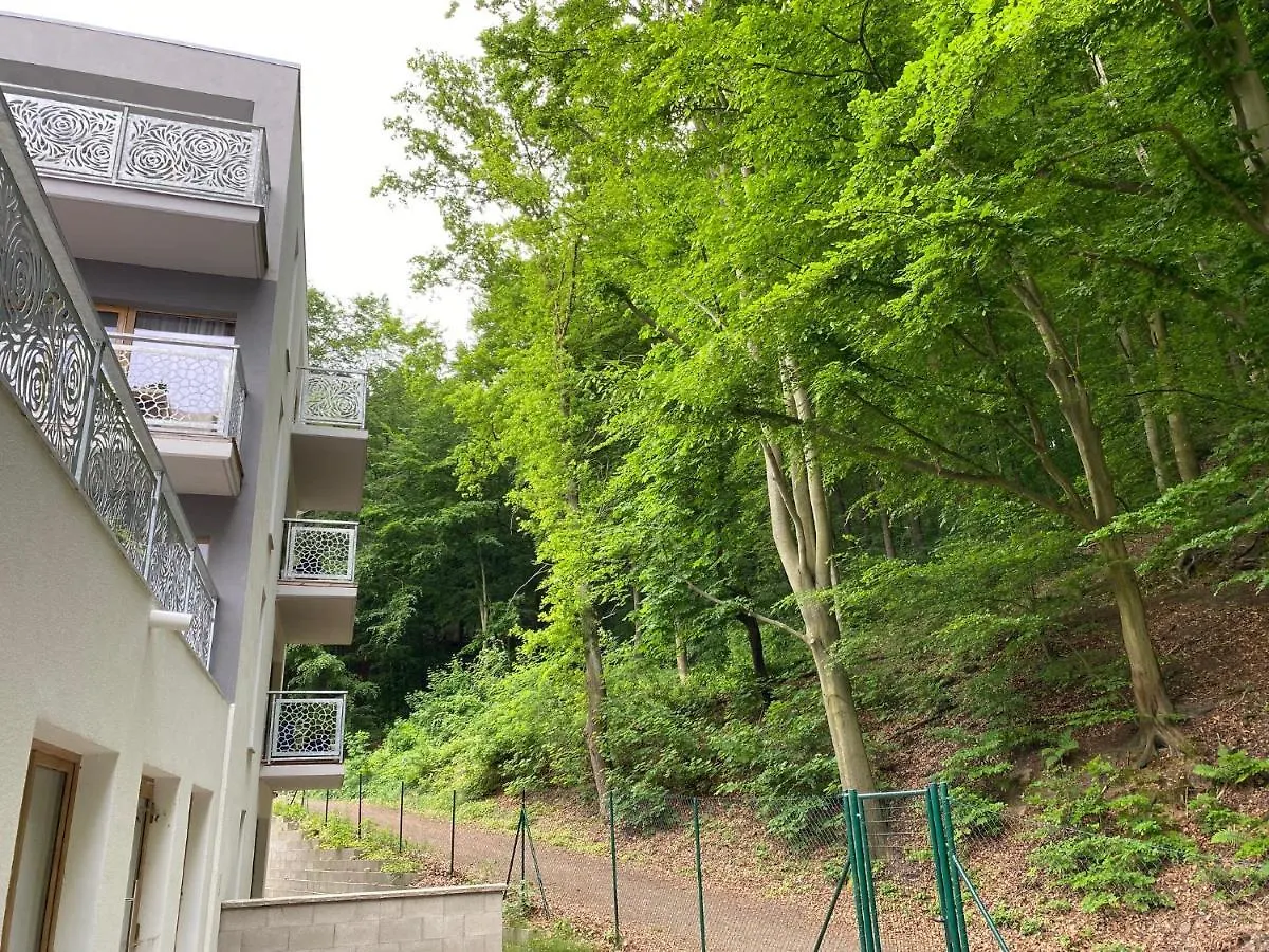 Sumavska Forest View Apartment Karlovy Vary